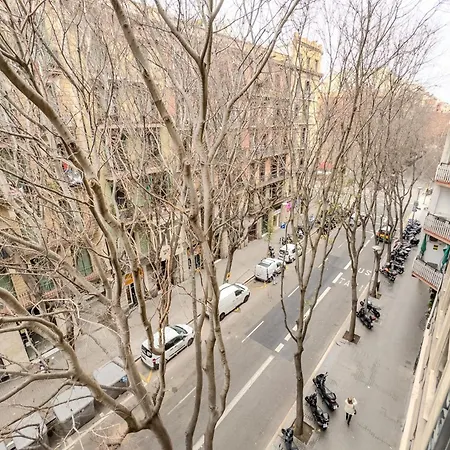 公寓 Novus Homes Eixample